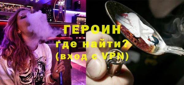 индика Гусев